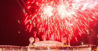 vuurwerk madeira aidamar