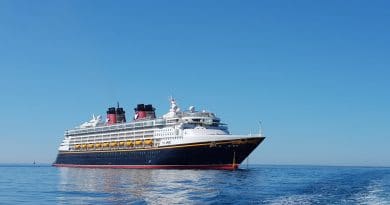 Disney Magic