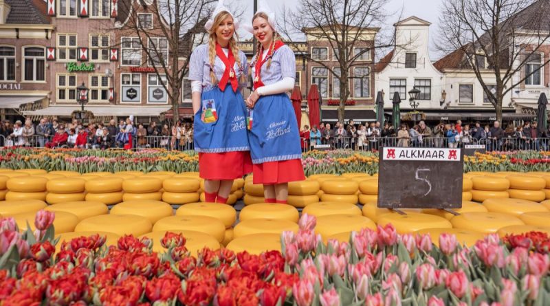 Copyright Alkmaar Marketing