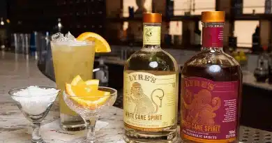 The Remedy cocktail alcoholvrij - Carnival Cruise Line